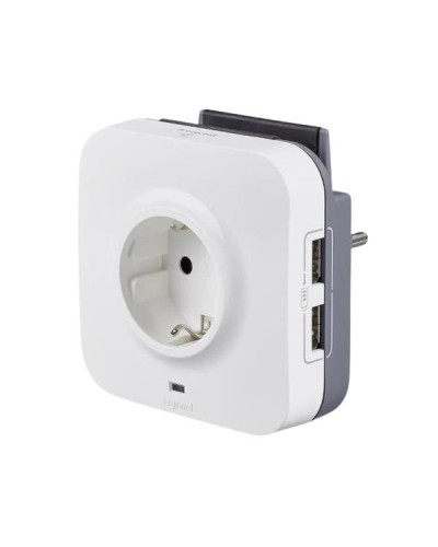 Розетка Legrand 2К+З, 2xUSB+подст.телеф.